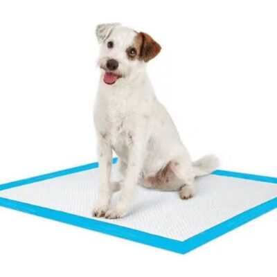 Alfombra Absorbente Para Mascotas 60 x 60 cm 40 Un